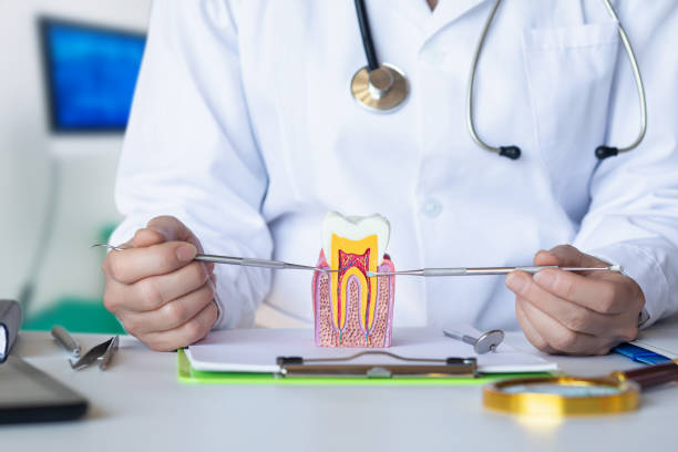 Best Emergency Broken Tooth Repair in Highlands Ranch, CO